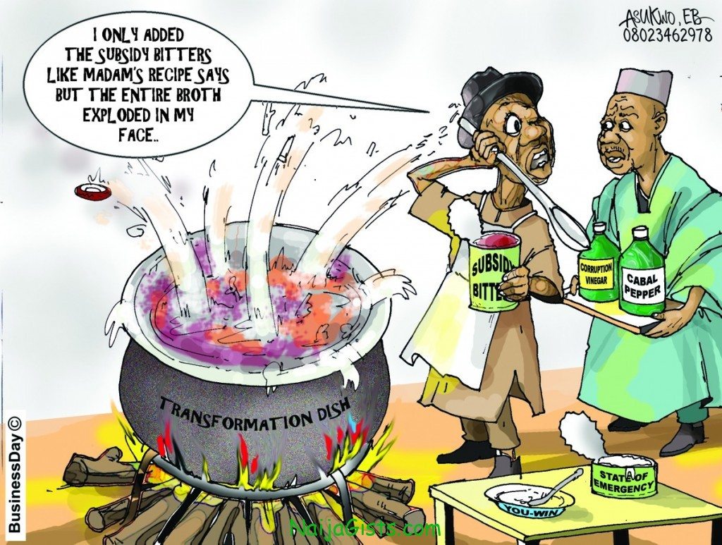 fuel subsidy removal cartoon