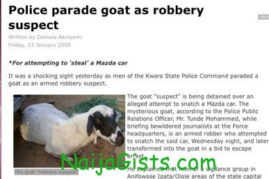 police parade goat as robbery suspect 1