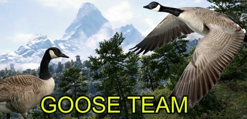 lessons learnt goose