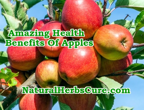 apples healing power health benefits