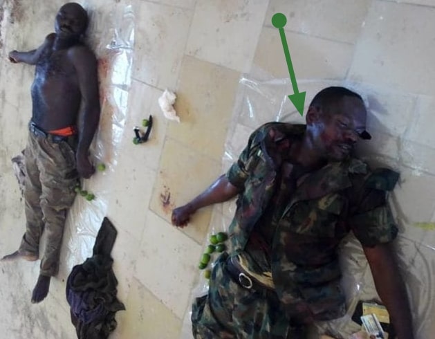 nigerian soldier mass shooting borno 