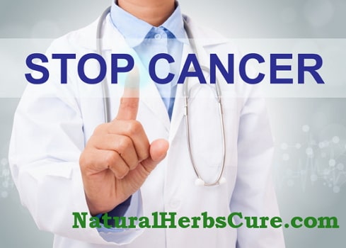 how to prevent cancer naturally before it grows