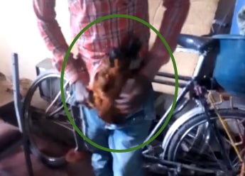 man hides stolen chicken trouser