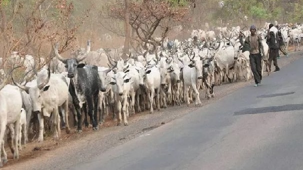 fulani herdsmen killing crisis lagos nigeria