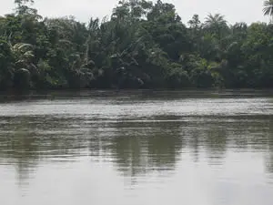 corpse found osun river