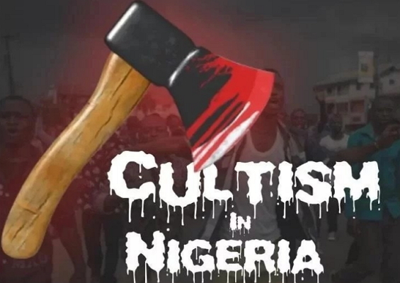 history of cultism in nigeria