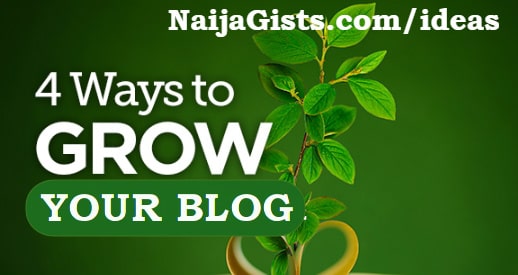 how to grow your blog from scratch 2019