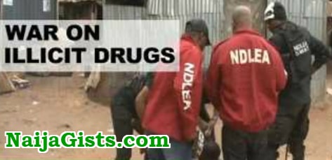 2 nigerians arrested swallowing cocaine kano