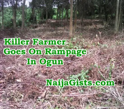 killer farmer rampage yewa