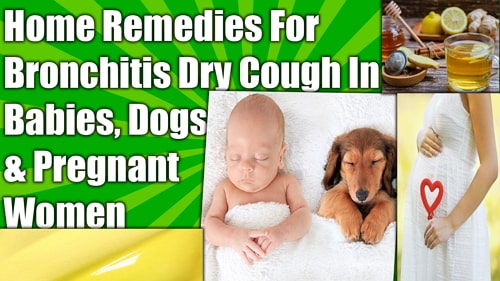 Home Remedies For Bronchitis Dry Cough Dogs Babies Pregnant Women