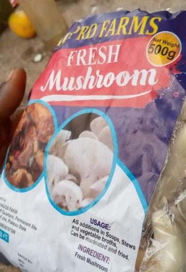 fresh mushroom nigeria