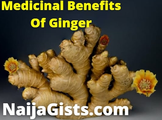 medicinal benefits of ginger