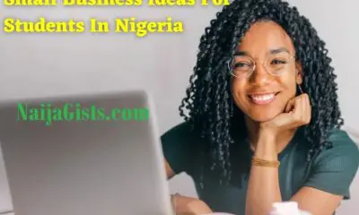 Small Business Ideas for Students in Nigeria