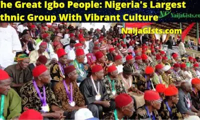 igbo tribe nigeria largest ethnic group