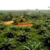 100 year old land grabber ibadan