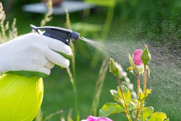 how to reduce pesticide risks