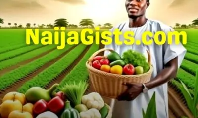 Potential Of Agribusiness In Nigeria