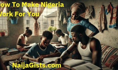 how to make nigeria work for you
