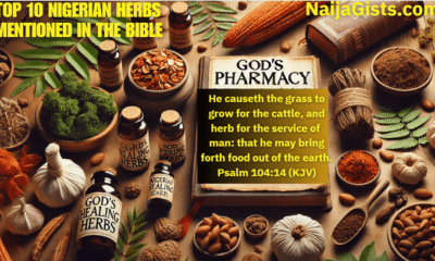 top 10 nigerian herbs bible